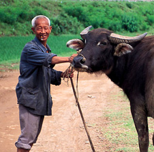 小型飼料顆粒機(jī),農(nóng)民圓夢(mèng)！